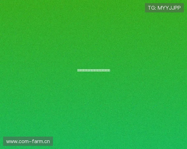 大赢家足球直播平台全程高清赛事实时观看指南